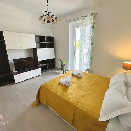 Patty Maison - Large & New